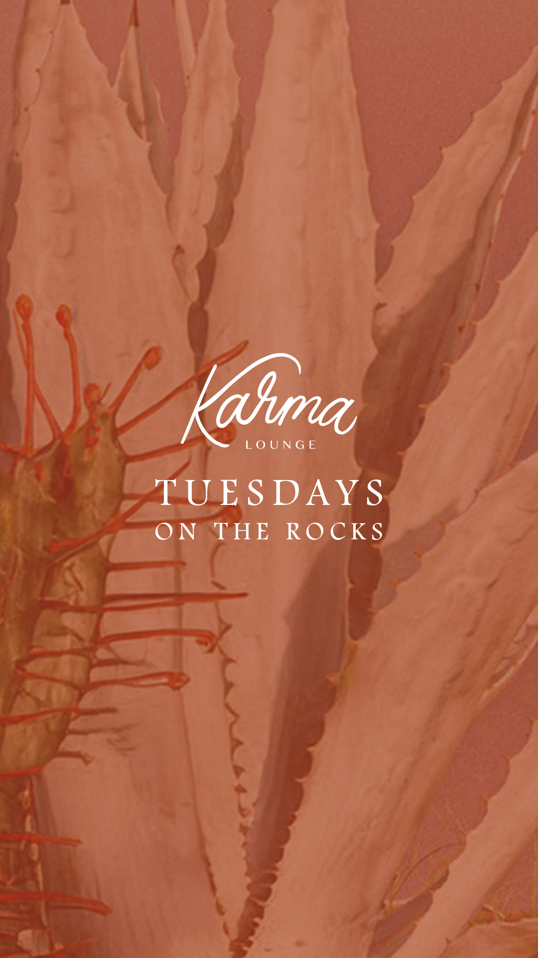 TUESDAYS ON THE ROCKS